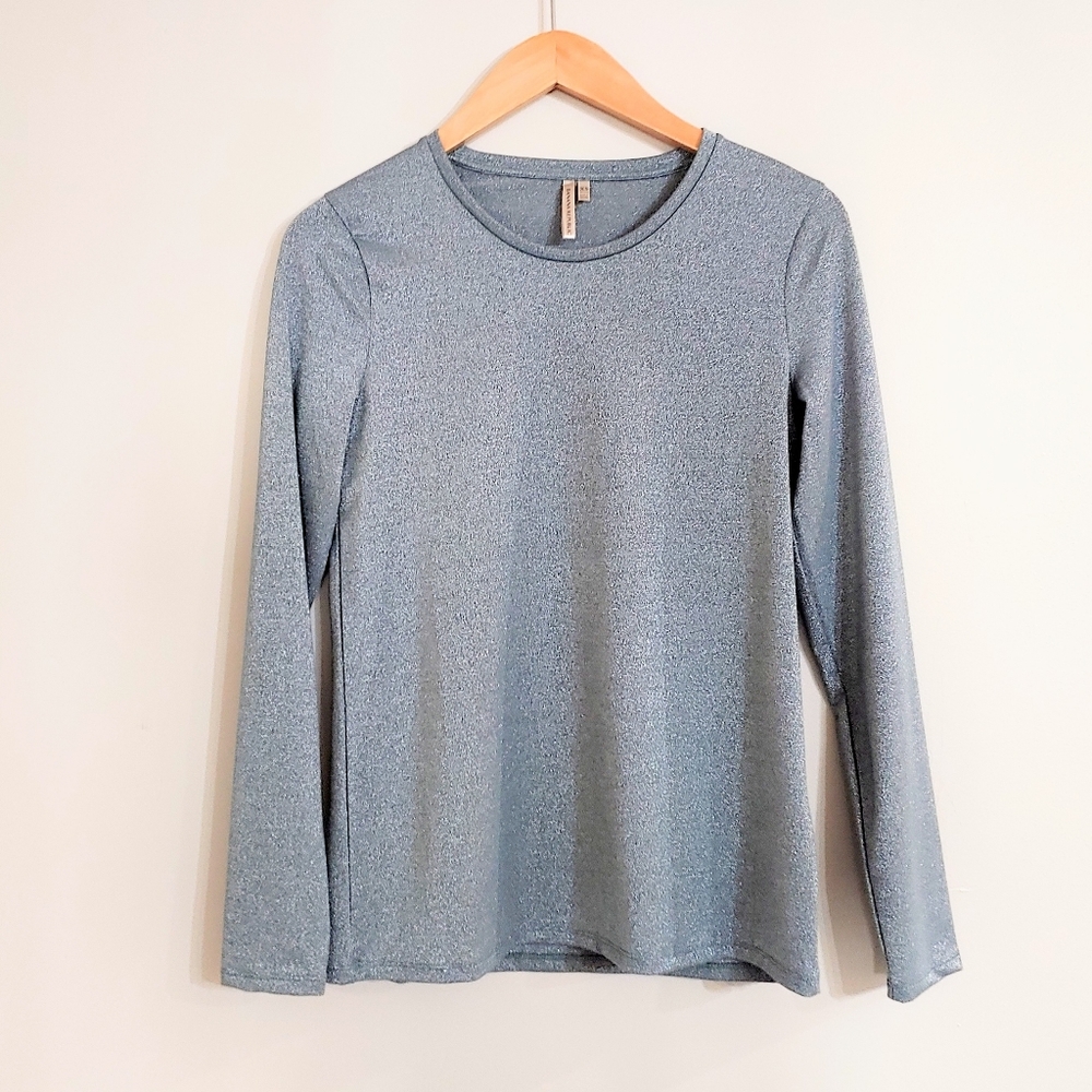 Long sleeve shimmery grey